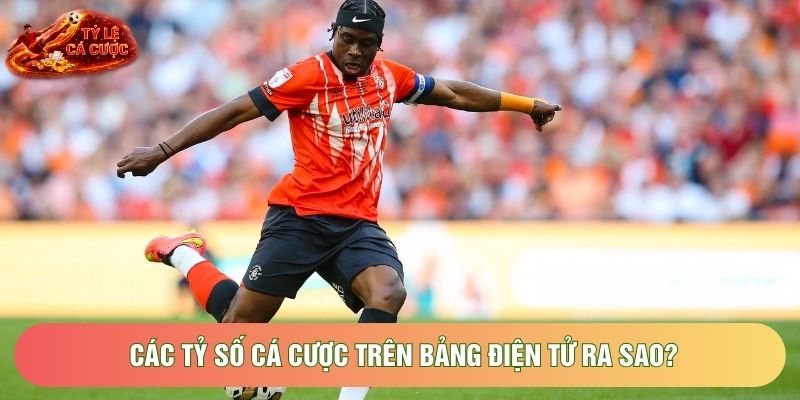 Các tỷ số cá cược trên bảng điện tử ra sao?