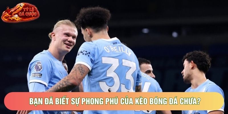 Bạn đã biết sự phong phú của kèo bóng đá chưa?
