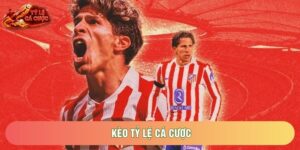 Kèo Tỷ Lệ Cá Cược Và Bí Quyết Đọc Vị Bảng Điện Tử Nhà Cái