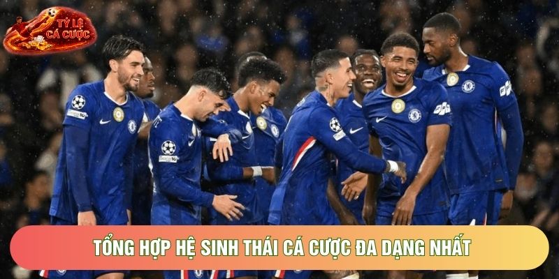 Tổng hợp hệ sinh thái cá cược đa dạng nhất