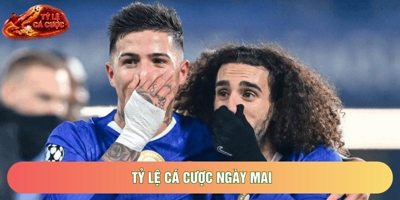 Tỷ Lệ Cá Cược Ngày Mai Và Những Biến Động Kèo Nhà Cái Mới Nhất