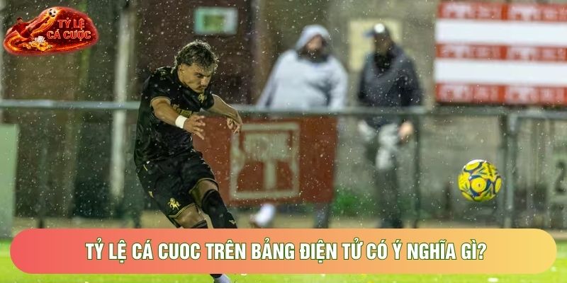 Tỷ lệ cá cuoc trên bảng điện tử có ý nghĩa gì?