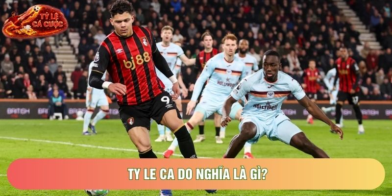 Ty le ca do nghĩa là gì?