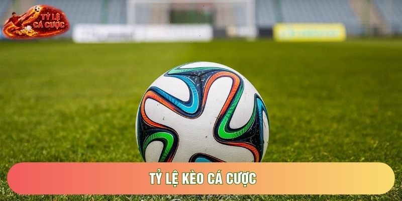 Tỷ Lệ Kèo Cá Cược: Nghệ Thuật Phân Tích Số Liệu Thể Thao